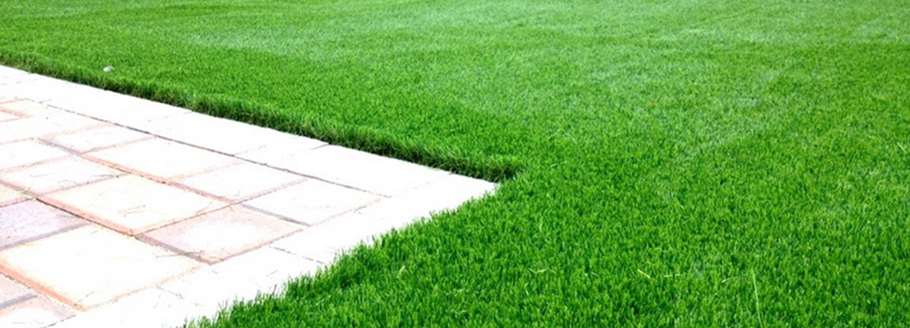 Eco-Friendly Artificial Grass Manufacturer - GL\'GRASS
